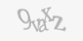 تصویر امنیتی