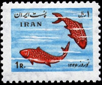 ماهی قرمز